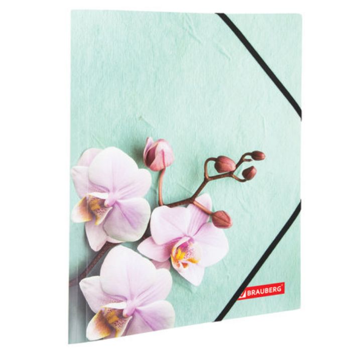Изображение Папка на резинках BRAUBERG "FLOWER", А4, цветная печать, до 300 листов, 500 мкм, 228032