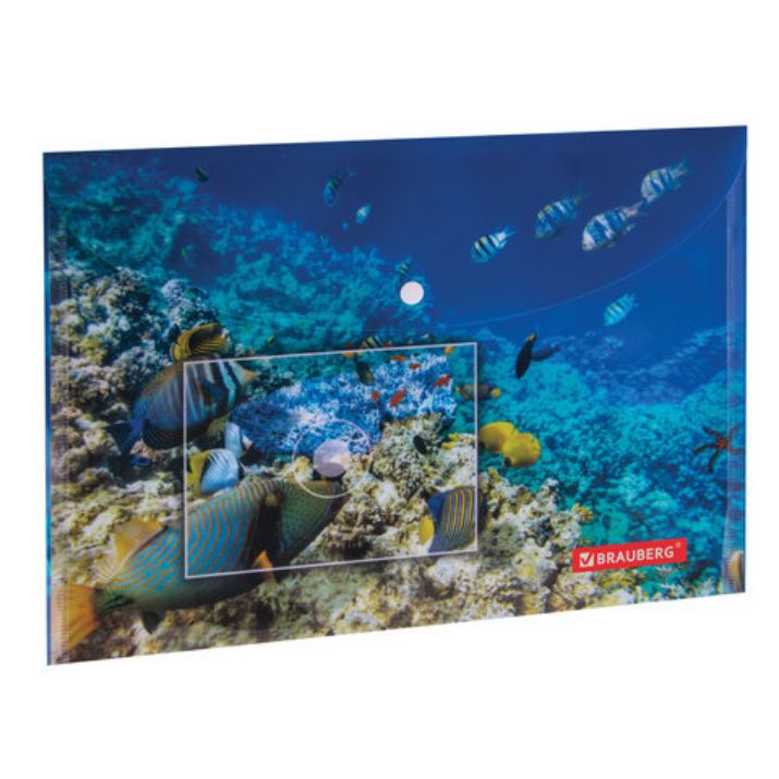 Изображение Папка-конверт с кнопкой BRAUBERG "SEA WORLD", А4, 160 мкм, до 100 листов, цветная печать, 228041
